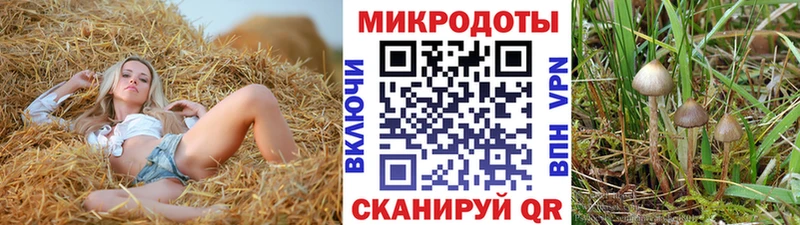 площадка Telegram  Менделеевск  Галлюциногенные грибы Psilocybe 