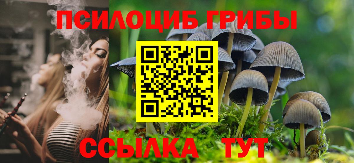 Менделеевск  Псилоцибиновые грибы Psilocybine cubensis  Псилоцибиновые грибы мицелий  Вход с VPN 